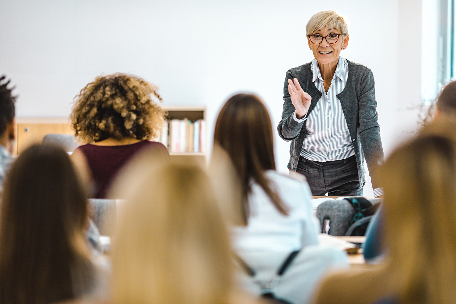 Legal professional presenting to group at conference table