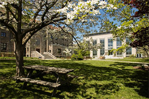 A picnic bench sits in the shadows beneath a white flowering tree. Two large, rectangular buildings are in the background.