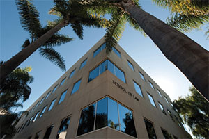 Palm trees outside of the law building