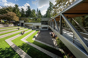 View of grassy, stepped campus area