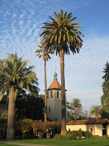 Palm trees stand tall in front of the law school.