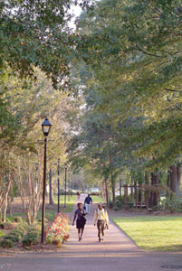 Three people walk down a shaded, tree-lined path. A lamppost stands at the corner where the main path intersects with another path. Small shrubs surround the lamppost.