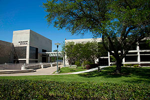 A grass-lined walkway leads to the law school--a complex of angular, gray buildings. Deciduous trees are in view.