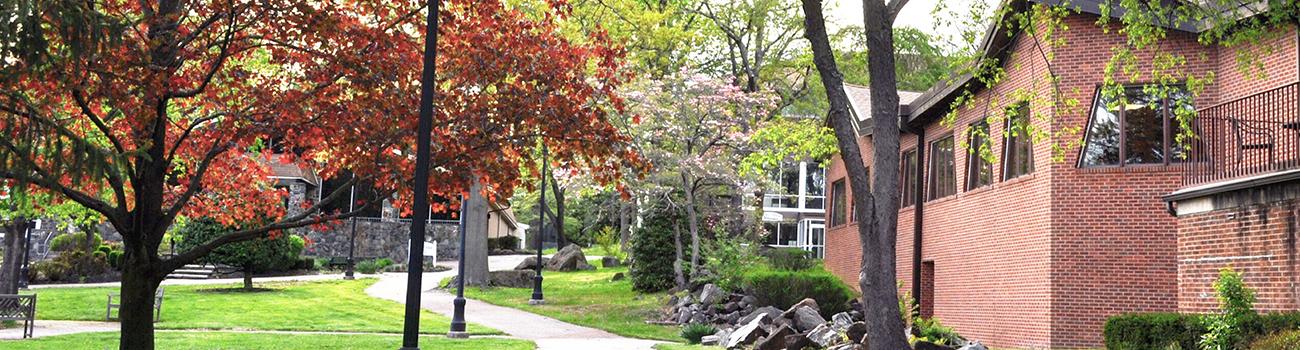 Photo of interior campus showing tree lined path and main law building