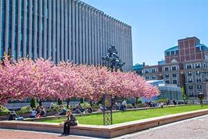 Columbia University School of Law | The 