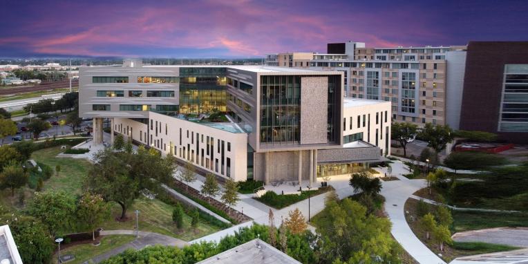 Large, modern-looking building, which seems to be set in a city and surrounded by green outdoor spaces.