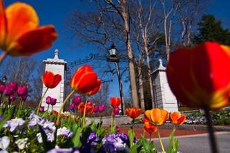 Emory University's iconic Haygood-Hopkins Gate