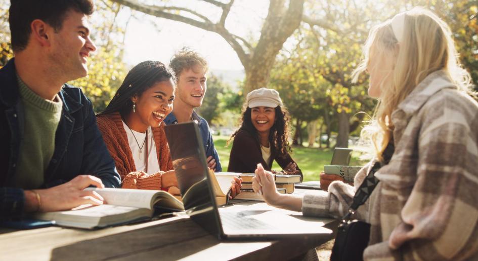 a group of students study together