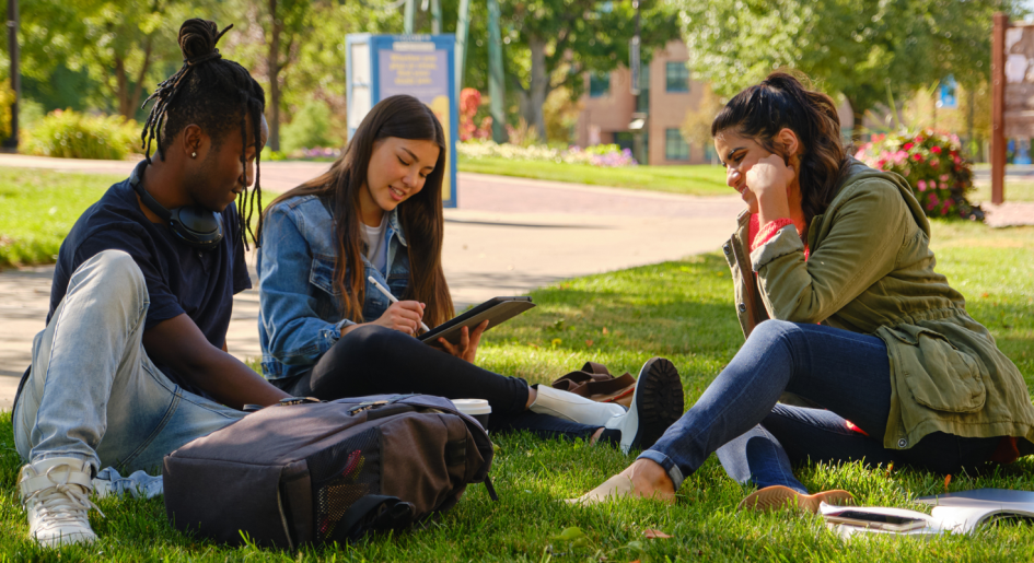 Students studying outside
