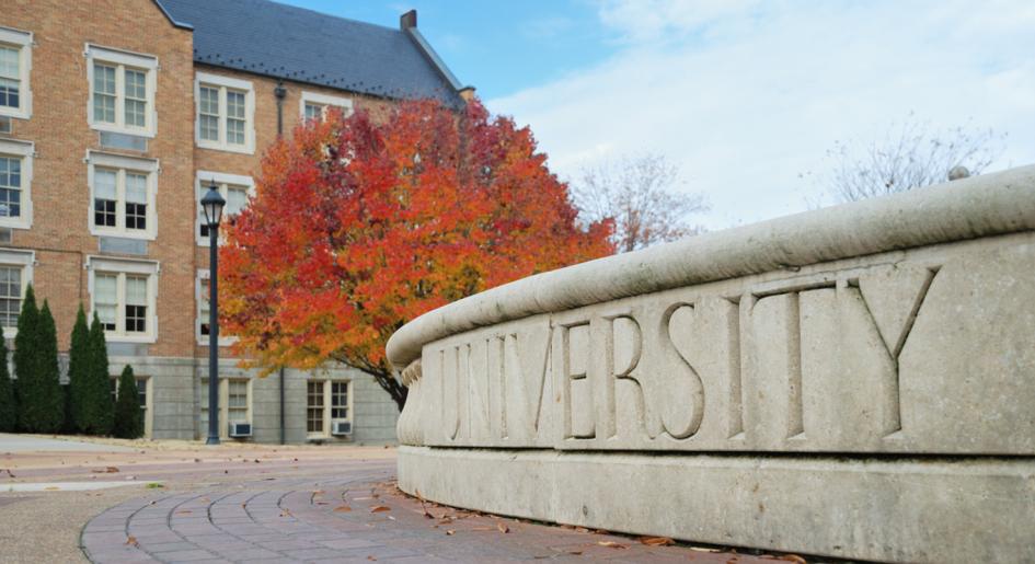 University courtyard with building in the background